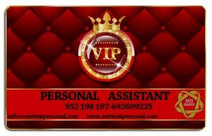 plantilla sin terminar Vip-Card